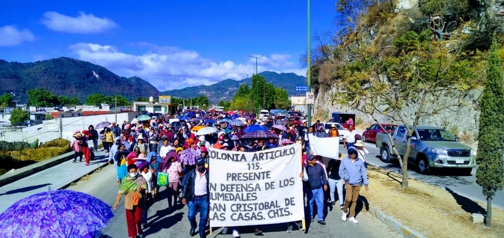 500 personas marcharon en San Cristóbal de Las Casas con motivo del Día Mundial de los Humedales. Foto ‘La Jornada’