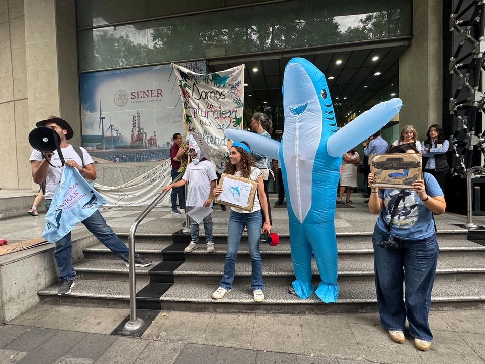Integrantes de la coalición Ballenas o Gas durante la protesta. Foto 