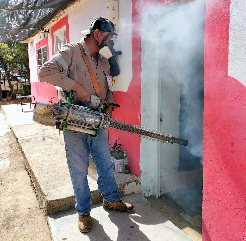 El dengue ha logrado afectar a más del 50 por ciento de la población del municipio de Mezquital del Oro. Foto 'La Jornada'  
