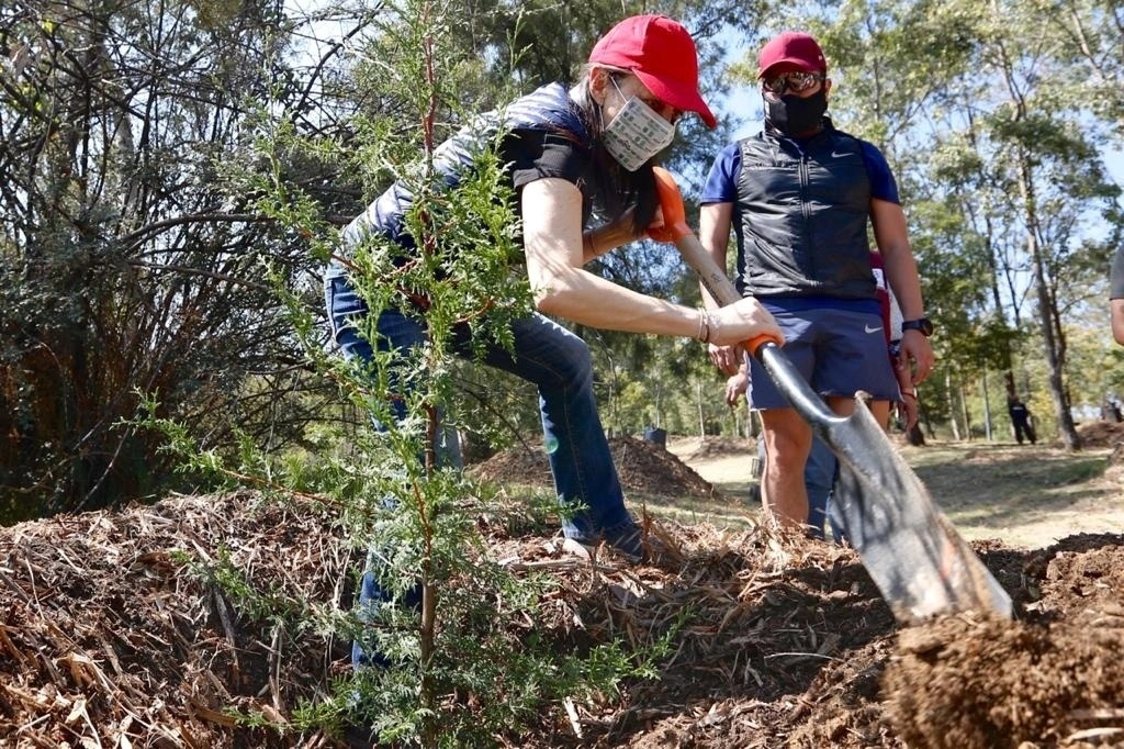 Mujeres siembran un árbol en imagen de archivo. Foto Cortesía 