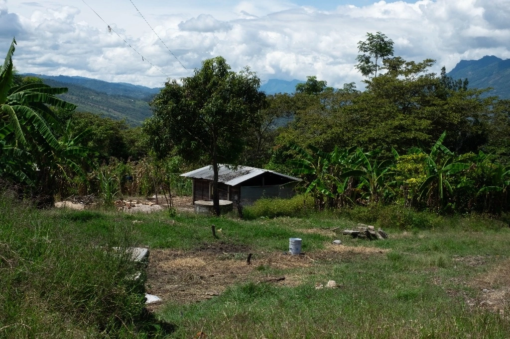 Expresaron que “en el contexto de la audiencia de alegatos de clausura y dictado de sentencia en su contra, insistimos en que no existen pruebas que apunten a la responsabilidad de los defensores del territorio ante el delito del que se les acusa, por lo que exigimos la liberación inmediata e incondicional”. Foto Cuartoscuro 
