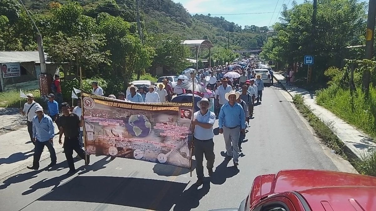 "Durante la manifestación los peregrinos reiteraron su “inconformidad en torno a los dos acuerdos (gubernamentales) para llevar a cabo la consulta sobre la carretera: Los Lineamientos para llevar a cabo Consultas Públicas relacionadas con Proyectos Estratégicos y el Procedimiento para la Consulta Pública del proyecto carretero Palenque–Ocosingo publicados por el Poder Ejecutivo del Estado de Chiapas”.