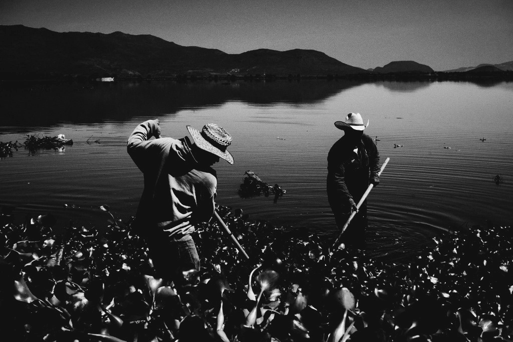 La presa Endhó enfrenta un gran ecocidio, afirma la artista visual. Foto Mitzi Falcón 