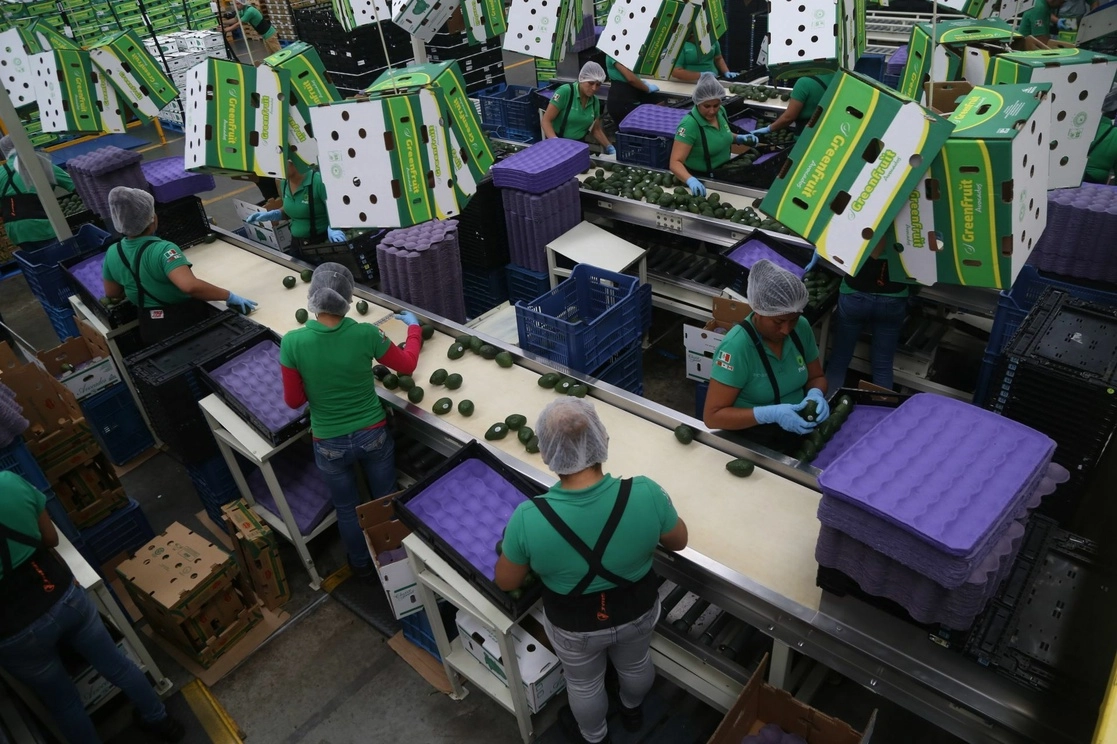 Este año, la exportaciones tuvieron un rebote, luego de la crisis de los primeros meses de la pandemia. Foto Cuartoscuro / Archivo
