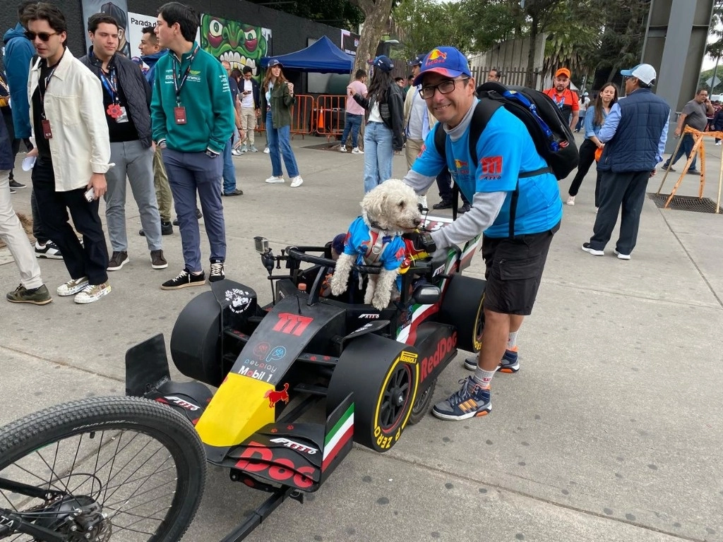 El perro 'Fabbio', también conocido como el perrito 'Checo' Pérez, a las afueras del Autódromo Hermanos Rodríguez. Foto Juan Manuel Vázquez