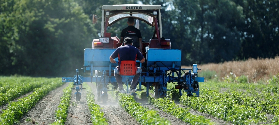 Brasil busca reducir la dependencia del país de las importaciones de nutrientes como la potasa. Foto UNEP