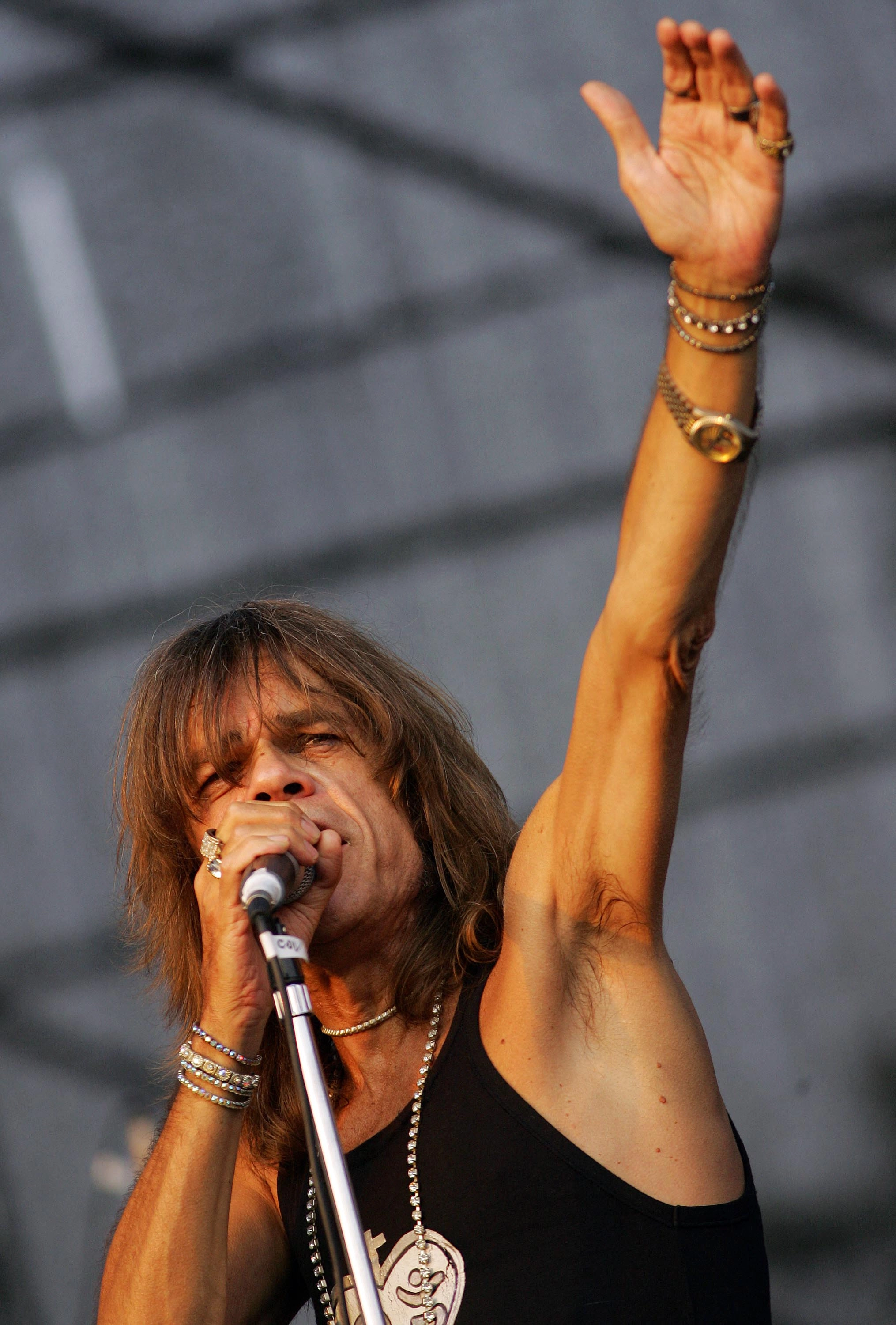 Inspirado por su pasión por el blues y la música folclórica estadunidense arcaica, Johansen también formó el grupo The Harry Smiths y recorrió el mundo interpretando las canciones de Howlin’ Wolf con Hubert Sumlin y Levon Helm.