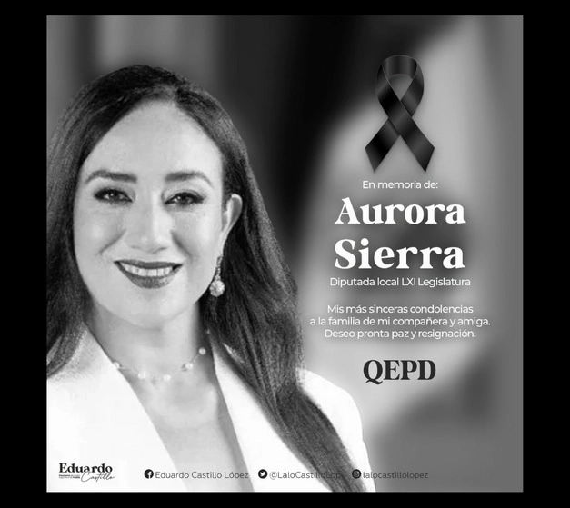 La diputada local del PAN Aurora Sierra Rodríguez, autora de la Ley Vicaria que sanciona el daño que se causa a una madre a través de sus hijos, falleció a la edad de 37 años por un infarto. Imagen tomada de @LaloCastilloLop
