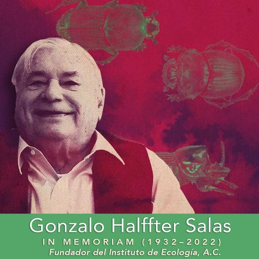 El Instituto de Ecología confirmó el deceso del biólogo Gonzalo Halffter Salas. Foto tomada de la cuenta de Twitter @Inecol_mx 