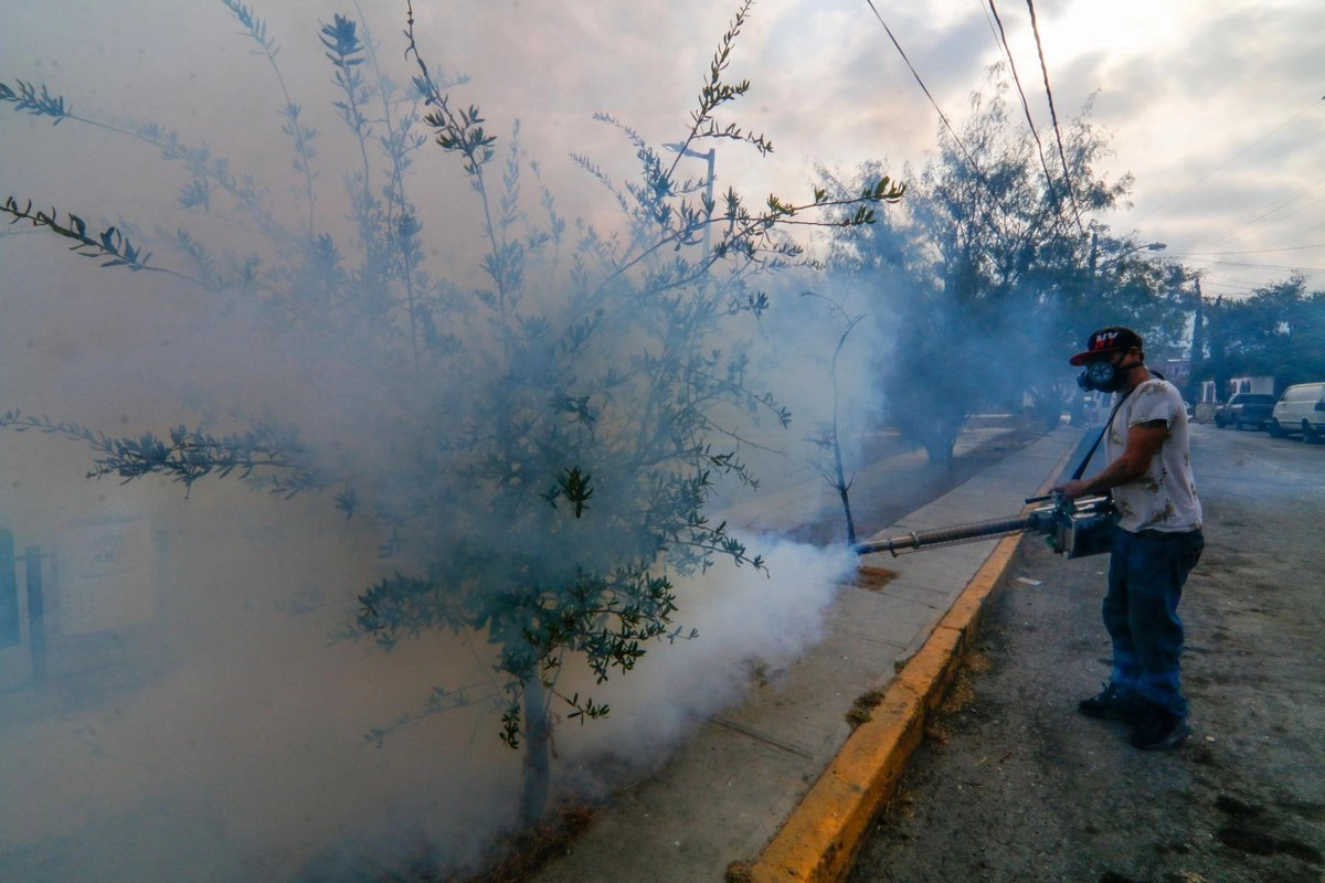 Fumigación para evitar la reproducción del mosquito transmisor del dengue. Foto