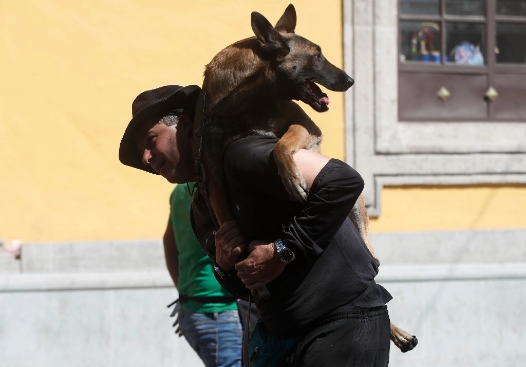 Para el tema del culto religioso o esotérico, no pueden ser utilizados y maltratados los animales, aunque lo uses para un tema cultural. Foto Cristina Rodríguez /Archivo

