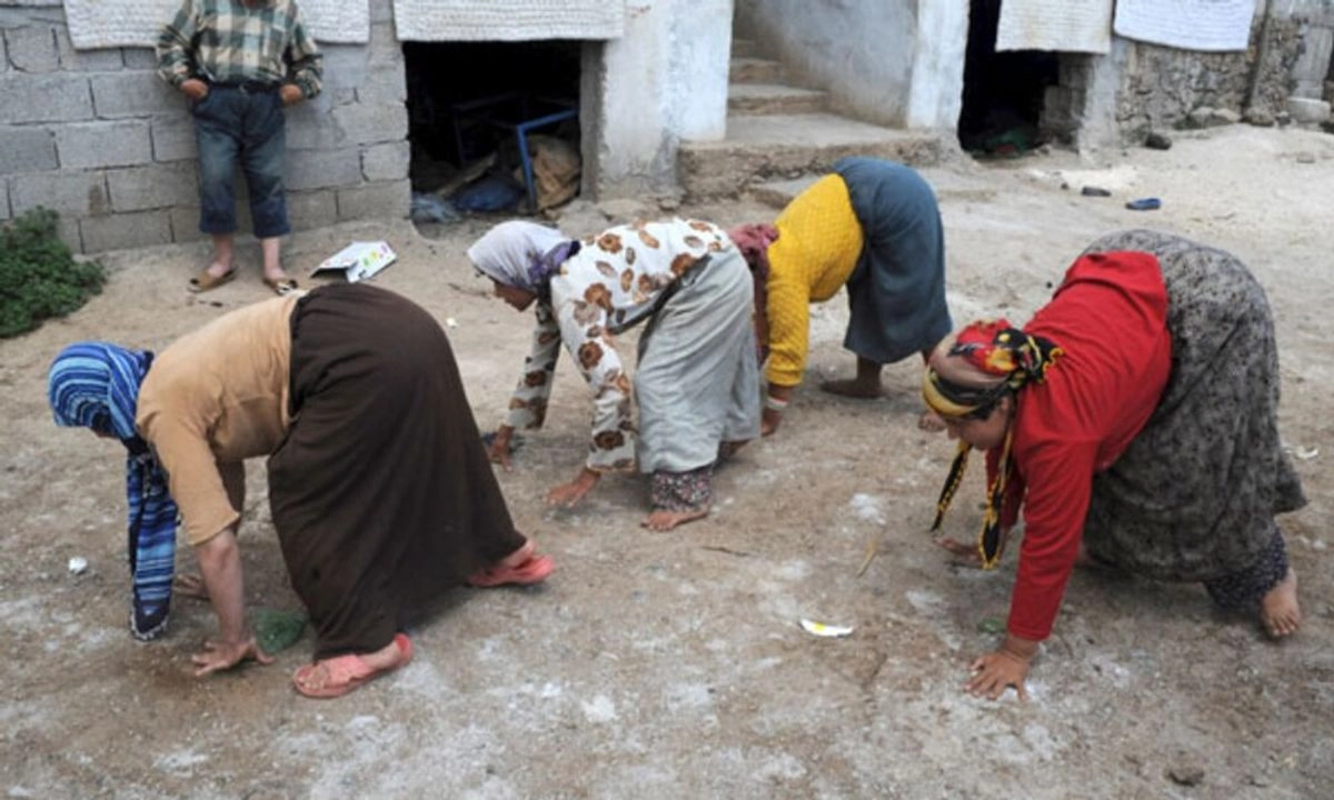 La familia Ulas tuvo un total asombroso de 18 hijos; sin embargo, de ellos, solo seis nacieron con la peculiaridad de caminar en cuatro patas, una característica nunca antes observada en humanos adultos modernos.
