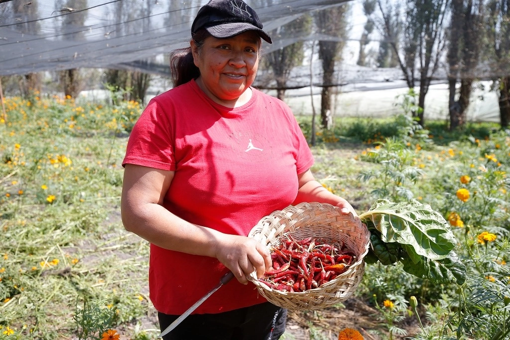 Mujeres campesinas trabajan la tierra desde que sale el Sol hasta que se oculta. Foto María Luisa Severiano / Archivo 