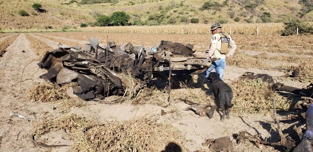 Con ayuda de canes entrenados se recaban la mayor cantidad de información en la zona de la explosión. Foto tomada del Twitter de @NayaritFiscalia