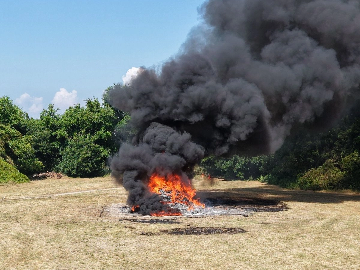 La destrucción de las drogas fue efectuada por la FGR, a través de la Fiscalía Especializada de Control Regional (FECOR) en Chiapas. Foto