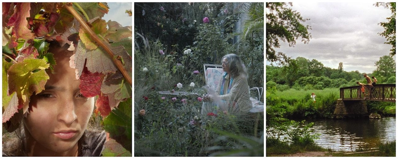 Fotogramas de las cintas ‘Fogo do Vento’, de Marta Mateus; ‘La eterna adolescente’, de Eduardo Esquivel, y ‘Les Habitants’, de Maureen Fazendeiro