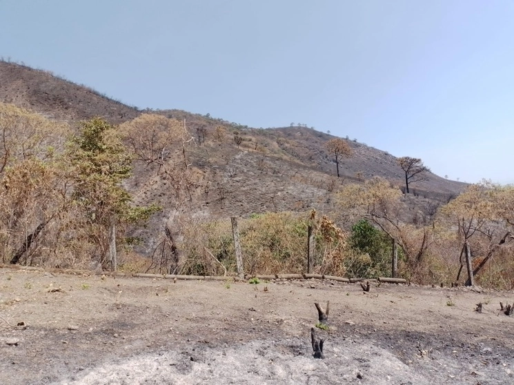 El cerro de San Juan Tepic, en Nayarit. Foto tomada de Facebook @cofaunay