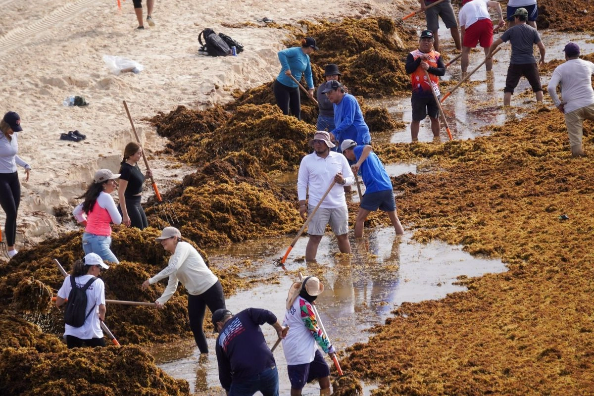 Labores de limpieza de playas con el respaldo de la Secretaría de Marina, en Playa del Carmen, Quinta Roo 