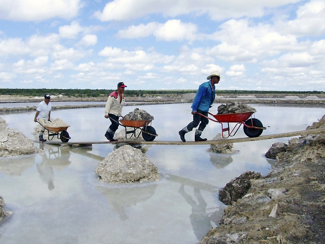 Habitantes de Zancarrón, municipio de Santo Domingo, SLP, obtienen sal al evaporar en piletas agua marina que se encuentra en depósitos a siete metros de profundidad. Según estudios prospectivos, en la zona hay depósitos de salinas con importantes contenidos de litio. Foto Alfredo Valadez Rodríguez / Archivo