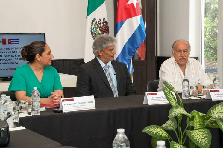 Esta colaboración impulsará el desarrollo de nuevas terapias, métodos de diagnóstico y enfoques de tratamiento para enfermedades neurológicas, señaló la directora ejecutiva de la Amexcid, Laura Elena Carrillo Cubillas, quien firmó el acuerdo. Imagen https://twitter.com/AMEXCID