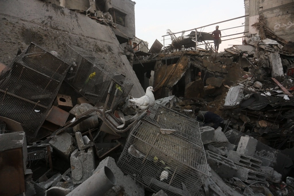 Palestinos buscan sobrevivientes entre los escombros de un edificio bombardeado por Israel ayer en Rafá. Foto Ap