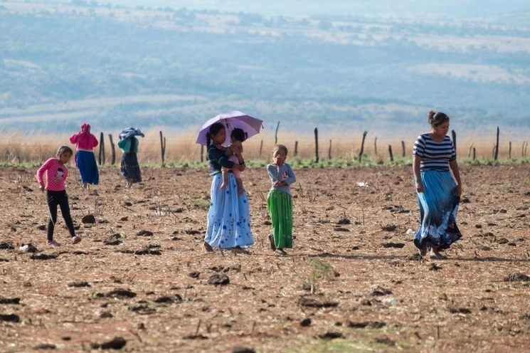 Habitantes wixárikas de Mezquitic, Jalisco han demandado a la síndico de esta región por incumplimiento de sentencia en la que se establece que los indígenas pueden ejercer una parte proporcional del presupuesto del Ayuntamiento de forma directa y autónoma. Foto Cuartoscuro / Archivo
