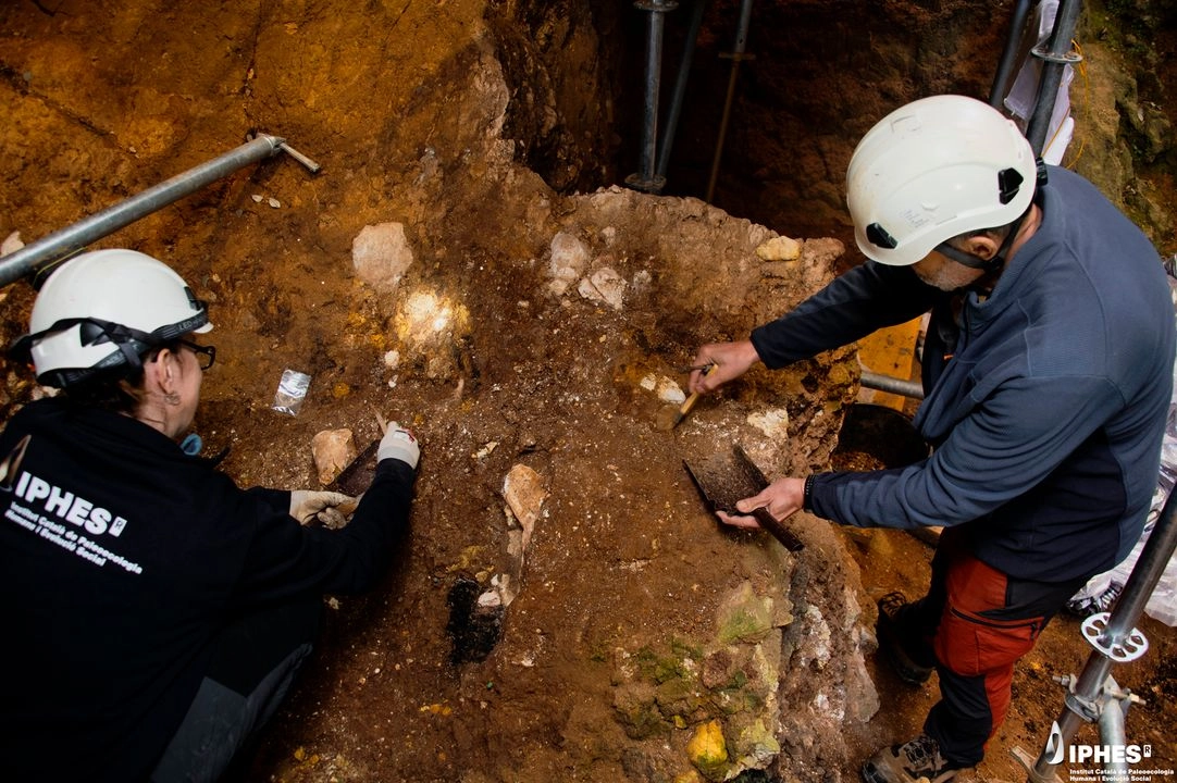 Los fósiles de la cueva de la Sima del Elefante, en el yacimiento de la sierra de Atapuerca, son fragmentos que abarcan 80% del lado izquierdo de la franja central de la cara de un individuo adulto, entre ellas partes del pómulo y la mandíbula superior con estructura nasal. Foto IPHES-CERCA vía 