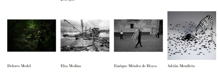 La campaña Fotos por México ha reunido hasta el momento alrededor de 150 fotógrafos mexicanos, quienes han donado su obra para la recaudación de fondos. La venta de obra comenzó el 11 de mayo y durará hasta el 25 de mayo. Imagen tomada del sitio https://www.fotospormexico.com/