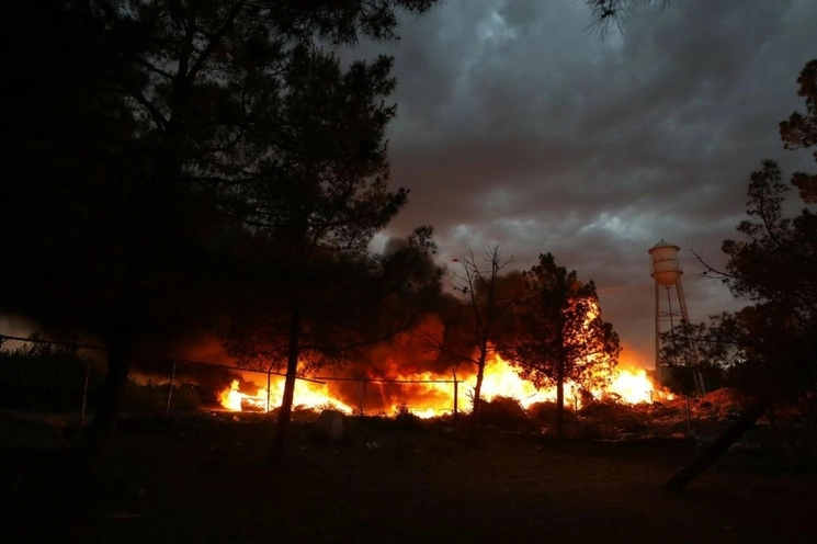 El incendio en El Chamizal fue intencional, informó la Dirección General de Protección Civil de Ciudad Juárez, Chihuahua. Foto La Jornada