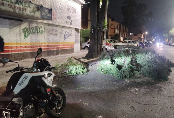 En ocho puntos de al menos cuatro alcaldías reportaron caída de árboles por fuertes vientos. Foto @SGIRPC_CDMX
