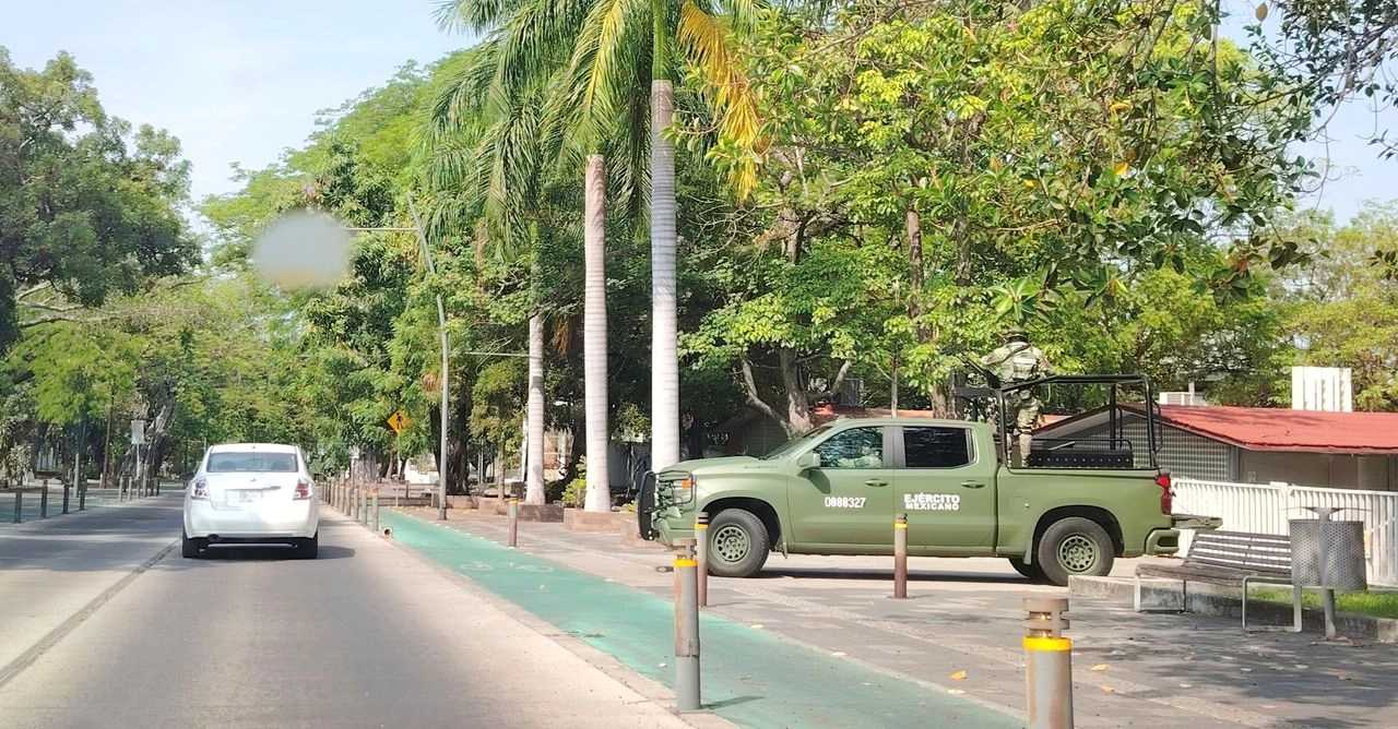 Los servicios, patrullajes y toda actividad relacionada con la seguridad pública "se encuentra cubierta gracias a esta coordinación entre los diversos órdenes de gobierno".