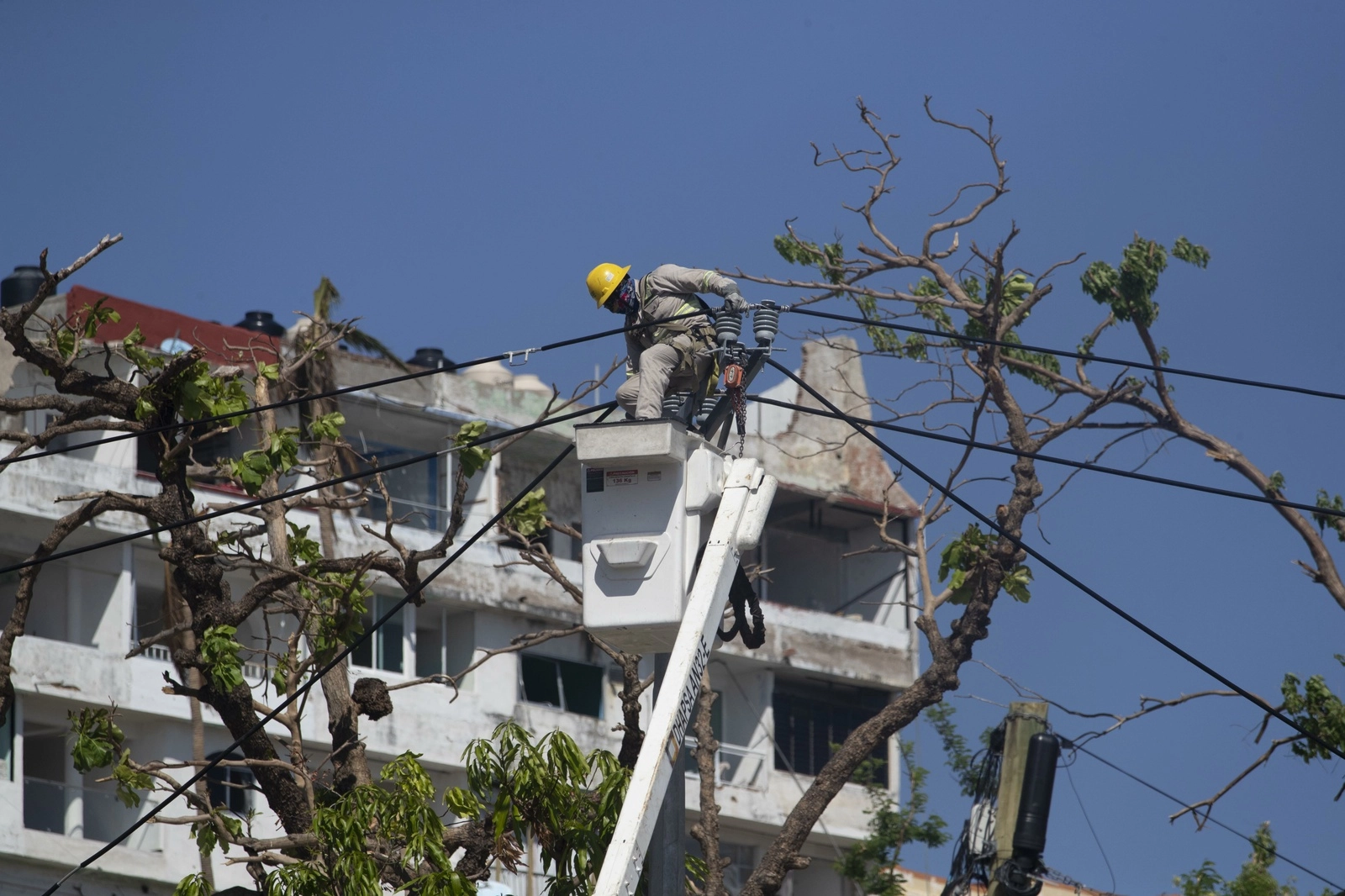 Desde el 26 de octubre se han aplicado medidas para restablecer el servicio, particularmente en Acapulco, donde una vez restablecida la energía eléctrica, el 3 de noviembre, pudo habilitarse el módulo del INE ubicado en el centro comercial Costera 125. Foto Alfredo Domínguez
