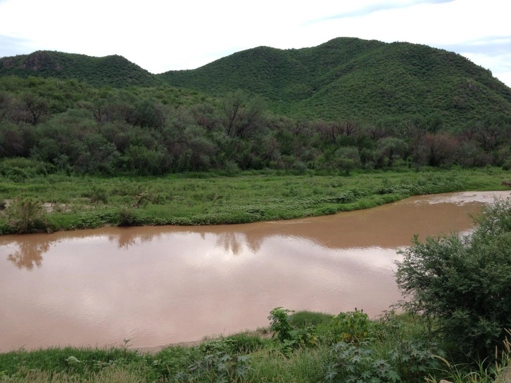 La construcción de las presas  en el afluente del río Sonora a la altura Sinoquipe, así como en Puerta del Sol y Las Chivas, en el río San Miguel de Horcasitas, beneficiará a más de 30 comunidades de la región. Foto Cristina Gómez Lima