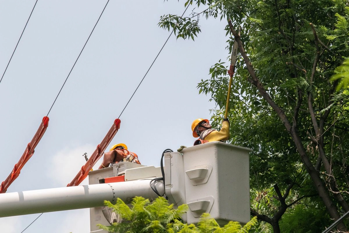 La temporada de verano suele ser de las más críticas ya que durante ese periodo se incrementa la demanda de energía eléctrica y, por ende, la necesidad de contar con suficiente energía disponible. Foto 