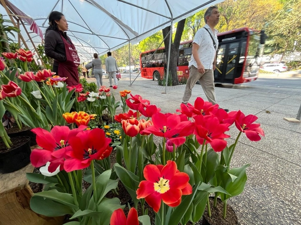 Vendimia en el festival de flores de orquídeas, en Paseo de la Reforma, en la Ciudad de México, 9 febrero 2024. Foto José Antonio López