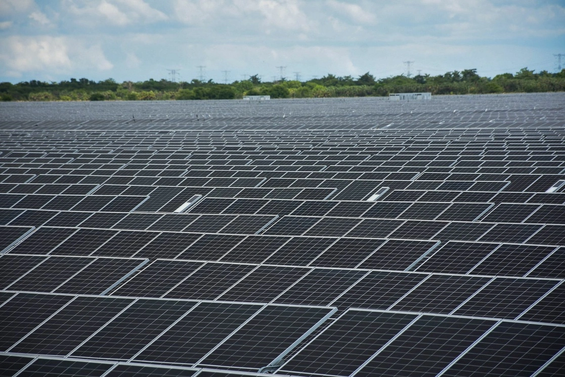 Paneles en el Parque de Energía Solar La Pimienta, en Yucatán. Foto Cuartoscuro / archivo
