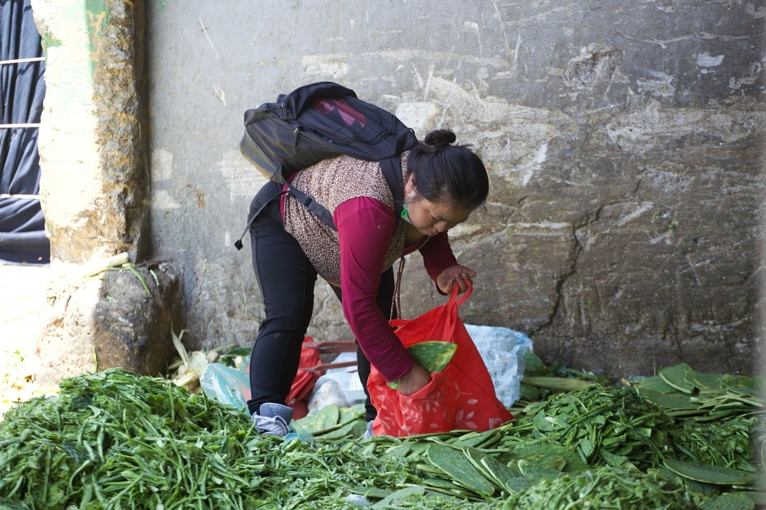 En 2020 se tiraron 32 mil 725 toneladas de desechos, de los que 45 por ciento son productos orgánicos. Foto Luis Castillo