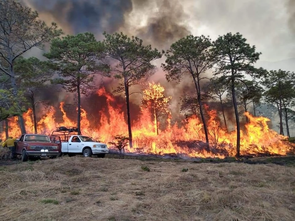 Reconoció que la Comisión Forestal del estado hace trabajos preventivos durante todo el año; "compramos equipo y material que nunca habían tenido los elementos de protección forestal. Foto Corresponsalía Nayarit