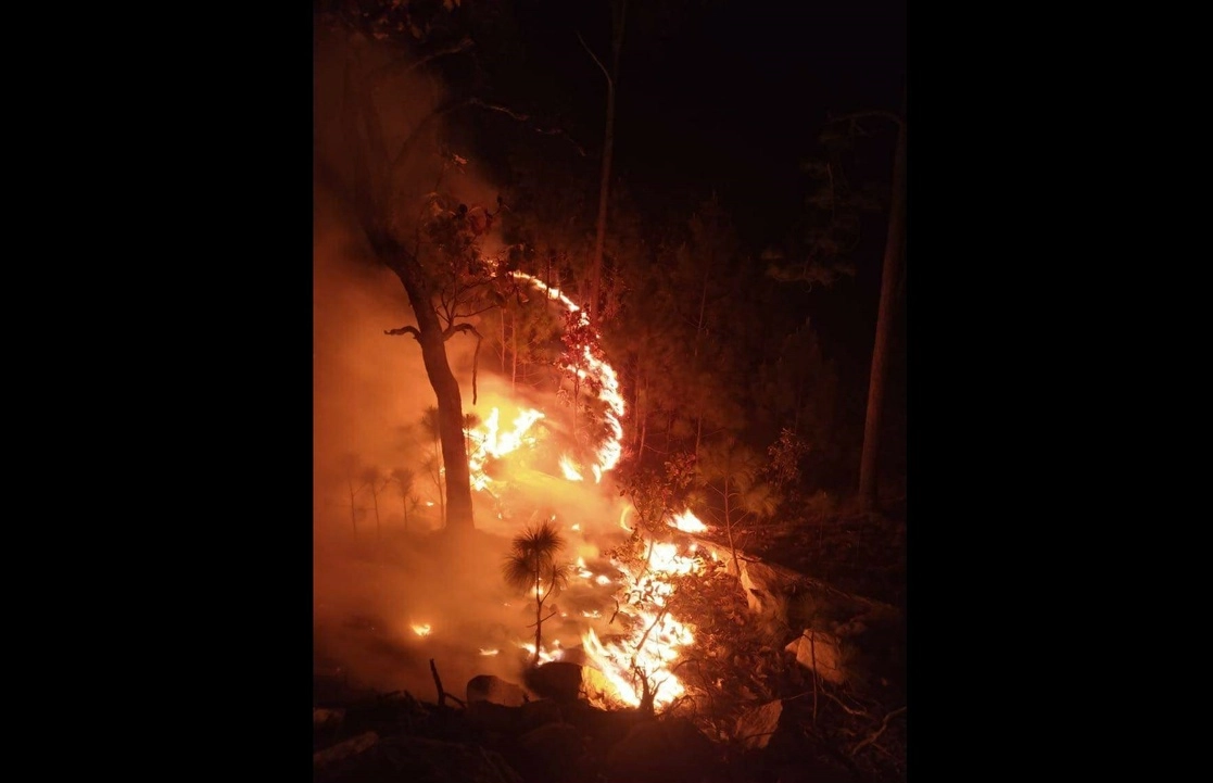 Elementos de la Sedena y de PC de Nayarit combatieron el incendio forestal registrado en el municipio serrano de La Yesca, Nayarit. Foto Tomada del FB de Miguel Ángel Navarro
