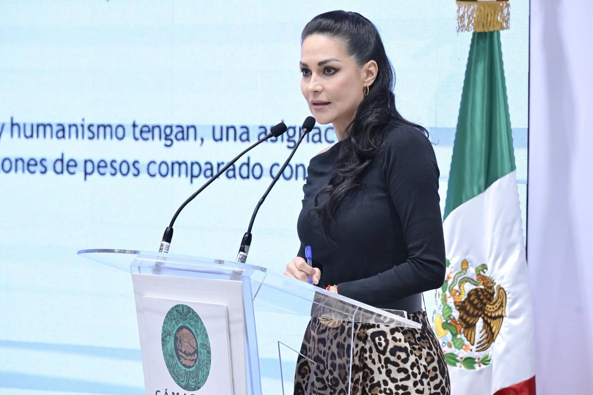 La presidenta de la Comisión de Presupuesto y Cuenta Pública de la Cámara de Diputados, Merilyn Gómez Pozos durante conferencia de prensa. Foto tomada de la cuenta de X 