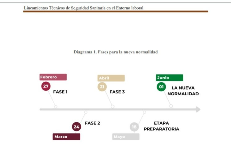 El documento consta de 31 páginas; dichos lineamientos tienen como objetivo lograr una reapertura ordenada, gradual y cauta de las actividades laborales. Imagen cortesía Gobierno de México. 