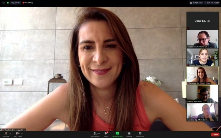 La diputada priista a diputada Soraya Pérez Munguía en videoconferencia. Foto@PerezSoraya
