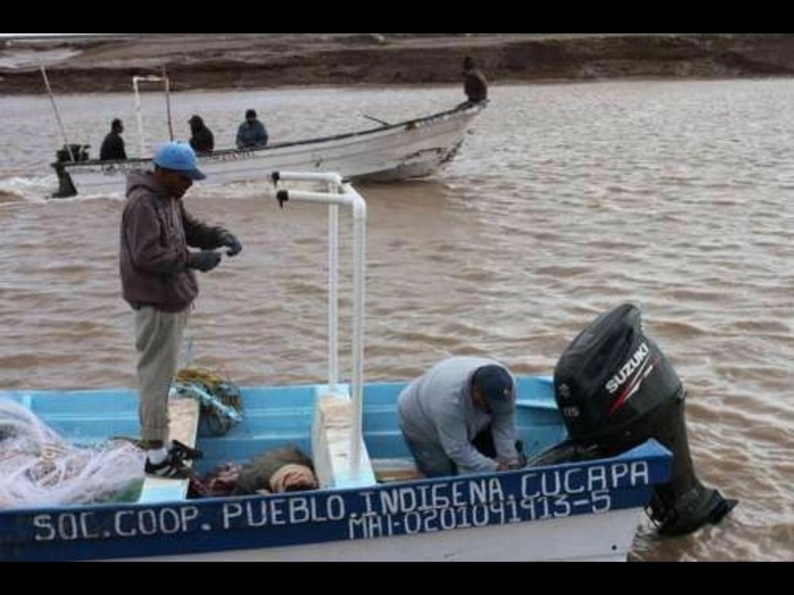El gobierno intenta hacer de San Felipe un puerto fantasma al criminalizar la pesca en el alto Golfo de California, expresó Carmen Ávila, representante de la Sociedad Cooperativa de Producción Pesquera Ignacio Zaragoza. Foto Lindero Norte / Archivo