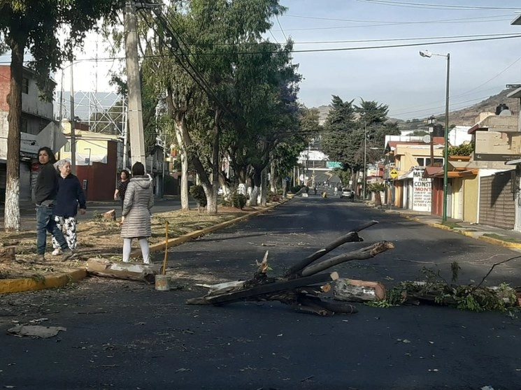 
Los vecinos salieron de sus casas para exigir una explicación de la acción municipal y oponerse al derribo de árboles. Foto La Jornada