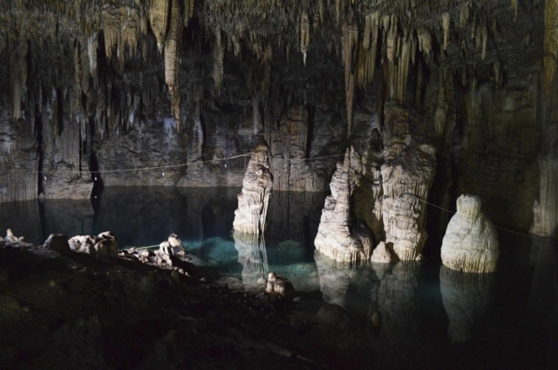 La operación de granjas porcinas en la región conocida Anillo de Cenotes podría contaminar el aguas de los mantos acuíferos. Foto Cuartoscuro / Archivo