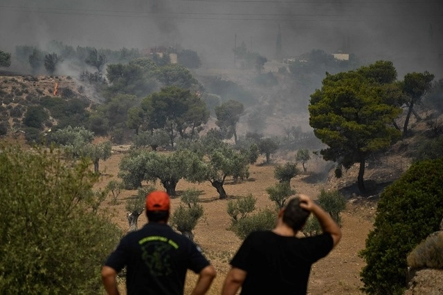 Incendio forestal en Nea Peramos, al oeste de Atenas, el 19 de julio de 2023. Foto Afp 