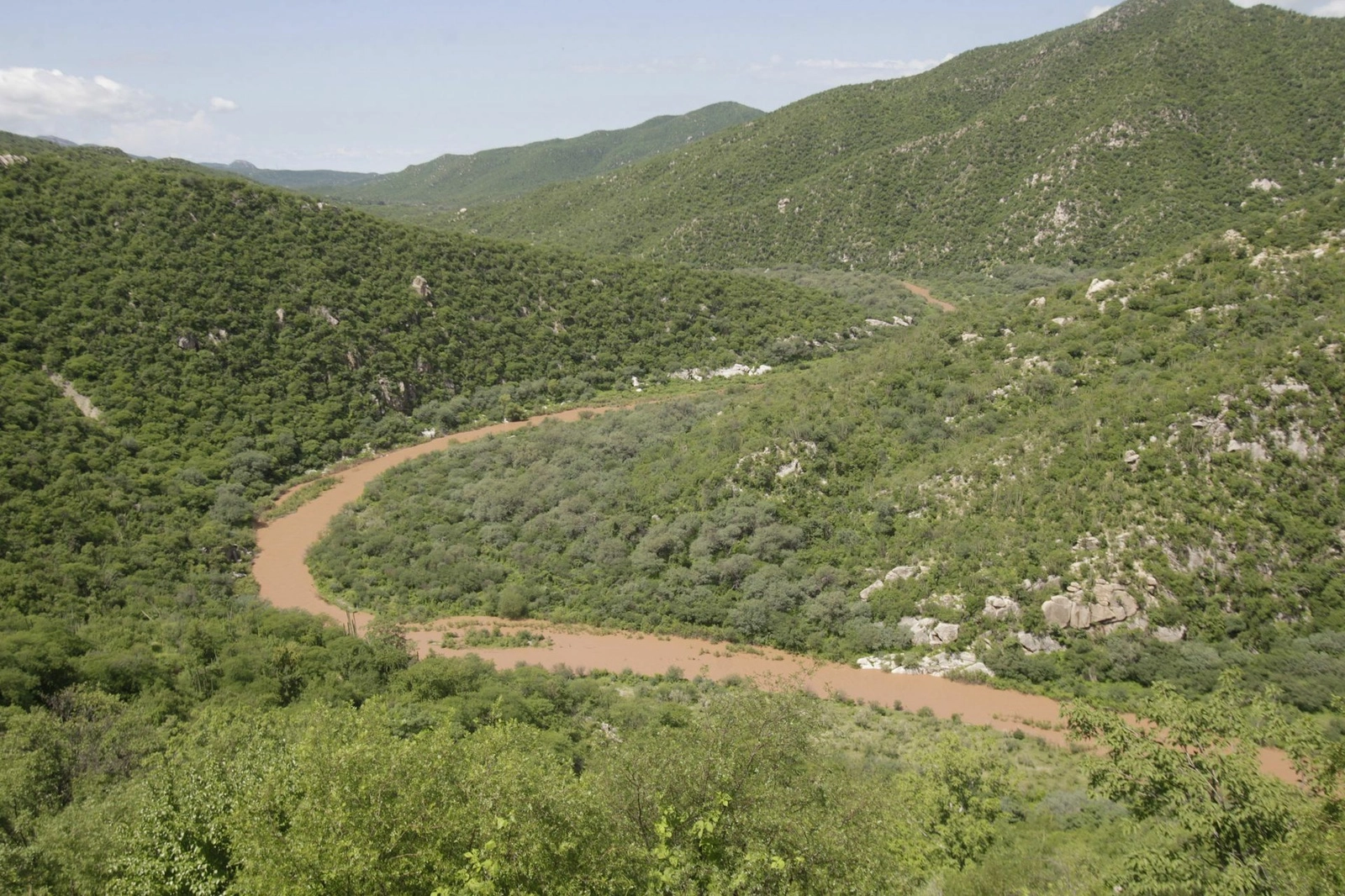El 11 de agosto de 2014 fue el primer día que se dió alerta formalmente de que el Río Sonora tenía un tono naranja en la comunidad de Aconchi Sonora, esto debido al derrame de 40 mil litros cúbicos de químicos tóxicos provenientes de una fuga en la región minera de Cananea, concesionada al consorcio minero Grupo México. Foto Cuartoscuro / Archivo