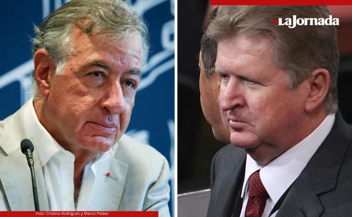 Fernando Chico Pardo y Germán Larrea presentaron ofertas para la compra de Banamex. Foto 