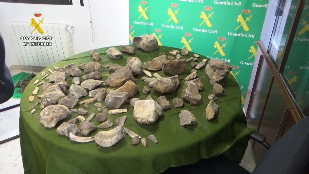 El Equipo de Policía Judicial Medioambiental del Seprona asumió la investigación, en la que cual obtuvieron imágenes de algunos restos paleontológicos que los sospechosos habían compartido en redes sociales. Foto Europa Press