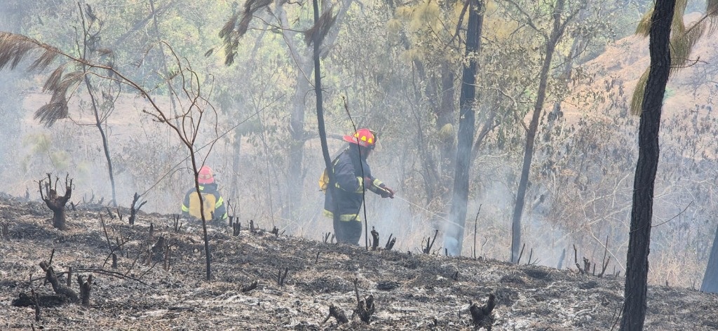 Guatemala fights forest fires with assist from the UN